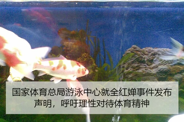 国家体育总局游泳中心就全红婵事件发布声明，呼吁理性对待体育精神